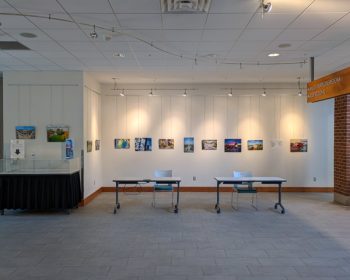 LibraryGalleryWeb-2