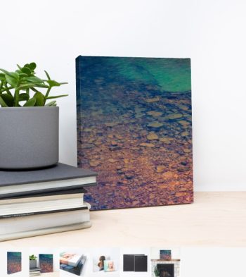 Store Sample Canvas